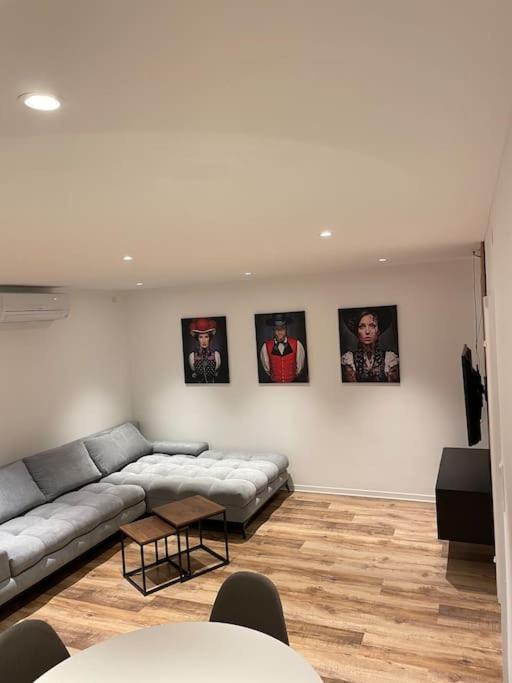 Penthouse, Offenburg,Europapark Apartment Екстериор снимка